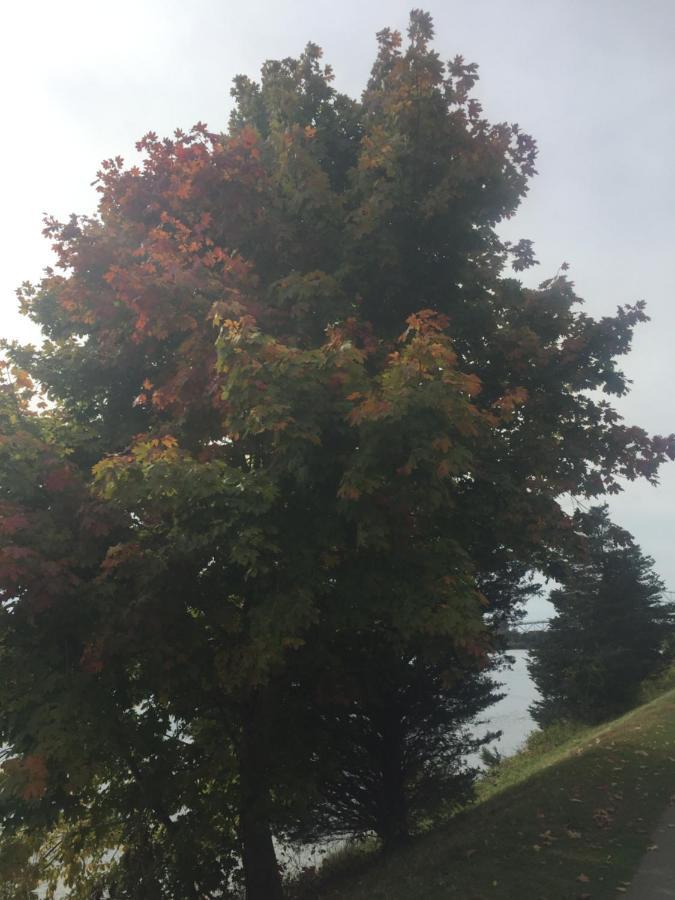Inn 38 Oak Bluff Circle Plymouth Buitenkant foto