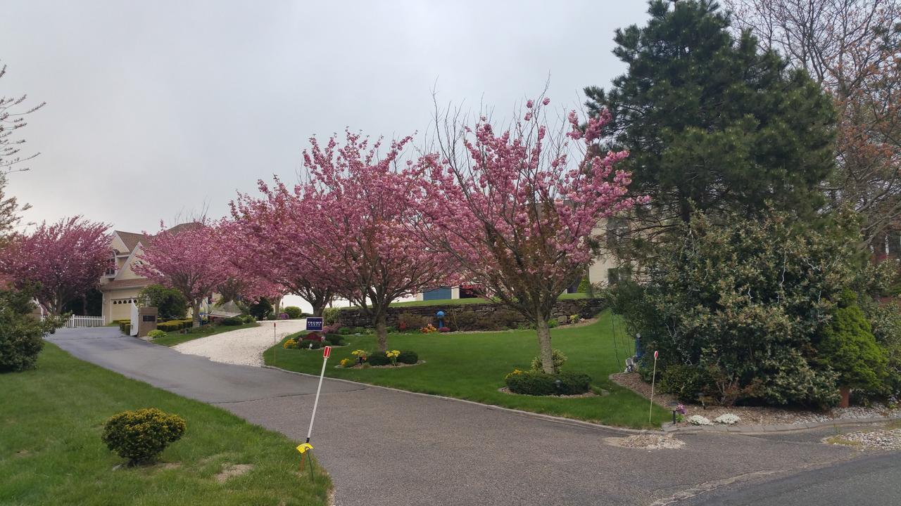 Inn 38 Oak Bluff Circle Plymouth Buitenkant foto